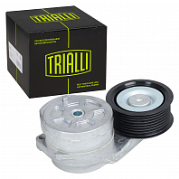 Ролик приводного ремня для автомобилей Scania 5 (R,T-series) (04-) [DC16] (с натяжным механизмом) вентилятора