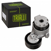 Ролик приводного ремня для автомобилей Renault Duster (10-) 1.5dCi (с натяжным механизмом)