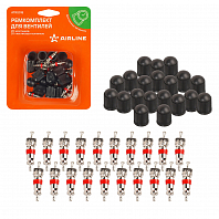 Ремкомплект для вентилей (20 золотников, 20 пласт. Колп.) в блистере