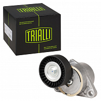 Ролик приводного ремня для автомобилей Chevrolet Lacetti (04-) 1.4i/1.6i (с натяжным механизмом)