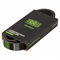 Ремень приводной для автомобилей Land Rover Range Rover III (02-)/Range Rover IV (12-) 5.0i вентилятора (ELAST)