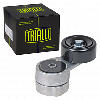 Ролик приводного ремня для автомобилей Hyundai Solaris (10-)/Kia Rio (10-) 1.4i/1.6i [Gamma] (с натяжным механизмом)