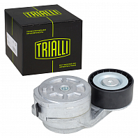 Ролик приводного ремня для автомобилей Scania 5 (R,T-series) (04-) [DC16] (с натяжным механизмом) генератора